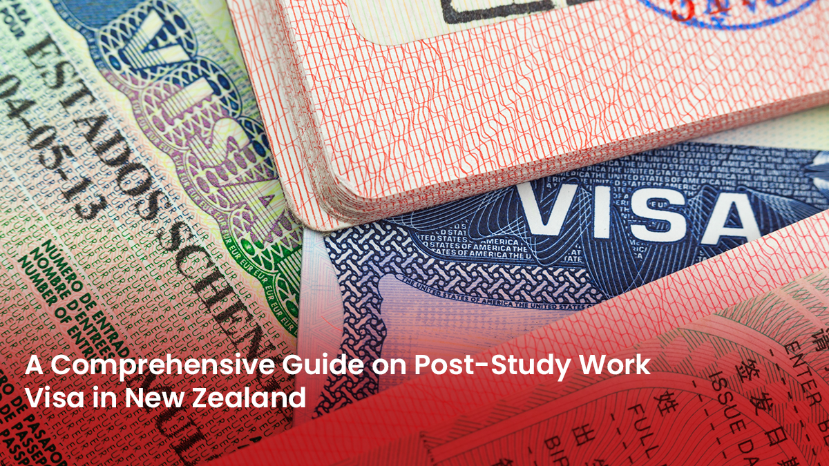 5 Blog A Comprehensive Guide on Post Study Work Visa in New Zealand