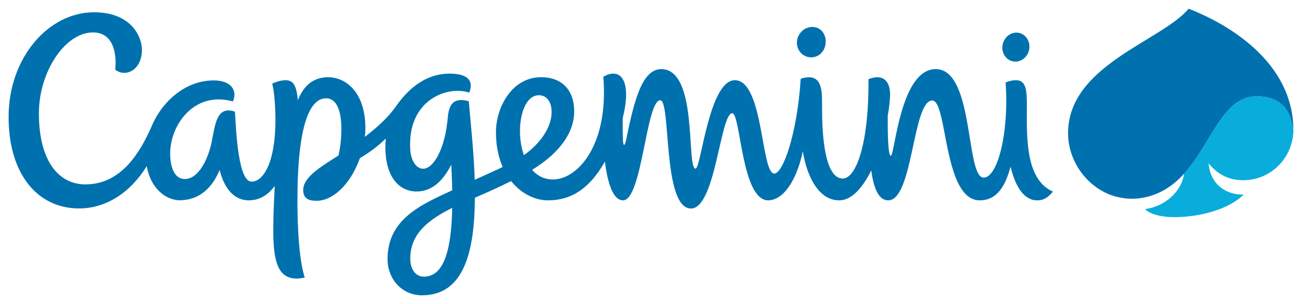 capgemini (1)